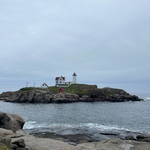 Meet your Posher, Tracey